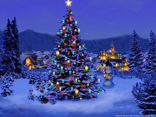 Christmas-Tree-Nature1024-226431.jpg